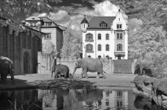 Leipzig 2025_01.jpg